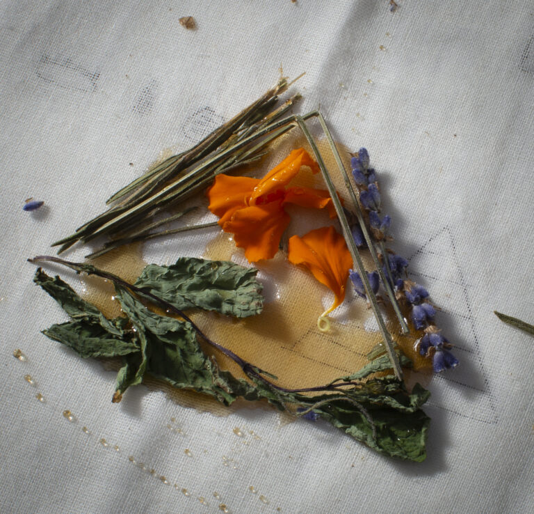 A close-up of a drawing in shape of a triangle made of honey and dry herbs on a canvas surface––green dried pieces of Lemongrass and Mint, Marigold leaves and Lavender. Photo by Cinthya Santos-Briones for Brewing Memories workshop, October 24, 2020.