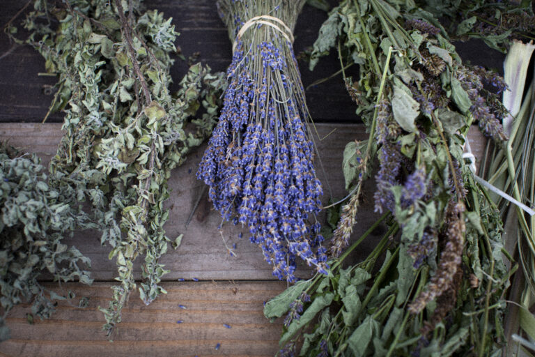 Three bunches of herbs, mint, lavender and licorice displayed upside down on a wooden table. Photo by Cinthya Santos-Briones for Brewing Memories workshop, October 24, 2020.