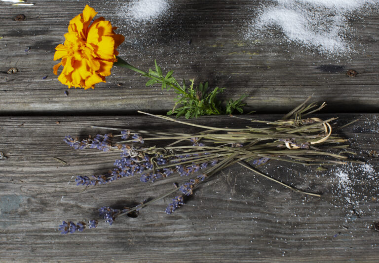 A Marigold flower and branches of Lavender on top of a wooden table at Friends at Brooke Park.