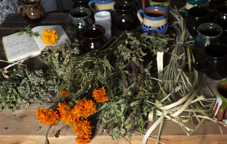 Branches of dry mint, marigold, Lemongrass, and Licorice, several clay cups and an open notebook on top of a wooden table at Friends of Brooke Park.