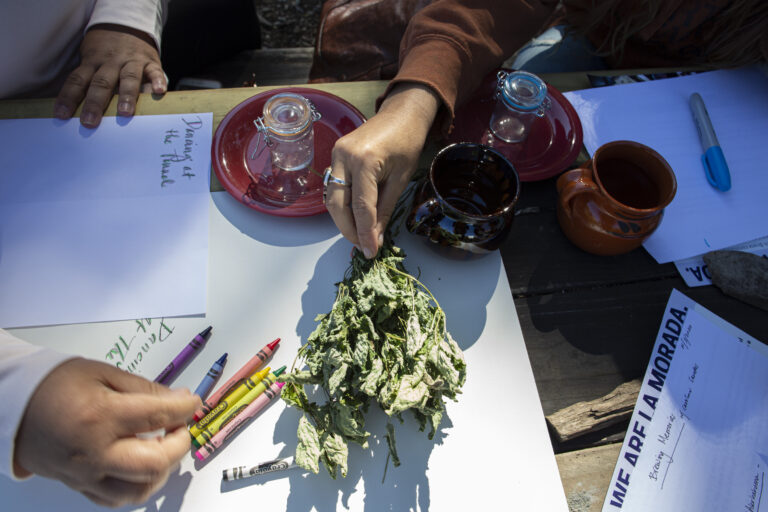 The hands of a participant holding a branch of dry Spearmint on top of a wooden table; on the same wooden table, are also two clay cups, two small red plates, crayons of different colors (yellow, blue, red, purple), two small glass jars, white pieces of paper with notes, and a couple of flyers with information about La morada restaurant. Photo by Cinthya Santos-Briones for Brewing Memories workshop, October 3, 2020.