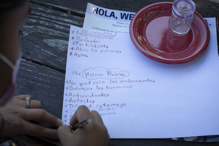 An over-the-shoulder view of a participant with a pink mask taking notes in Spanish about the properties and uses of eucalyptus and spearmint. In the background, on a wooden table, there is a red plastic plate with a glass jar on it. Underneath the piece of paper in which the participant is writing there is a flyer with information about La morada restaurant and its activities during the Covid-19 pandemic. Photo by Cinthya Santos-Briones for Brewing Memories workshop, October 3, 2020.